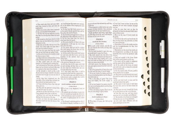 On Wings Like Eagles Brown Faux Leather Classic Bible Cover