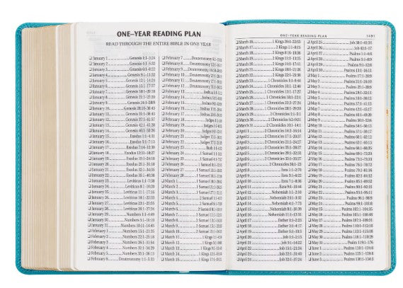 Aqua Blue Large Print Compact King James Version Bible