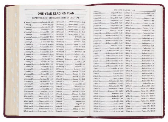 KJV Large Print Thinline Bible-Burgundy Cross Faux Leather Indexed