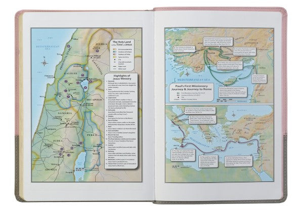 Pink and Gray Faux Leather Super Giant Print Full-size King James Version Bible with Thumb Index